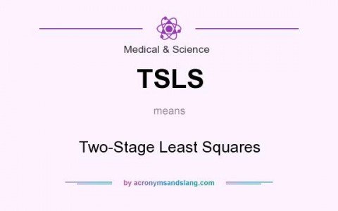 Two Stage Least Square dengan Eviews